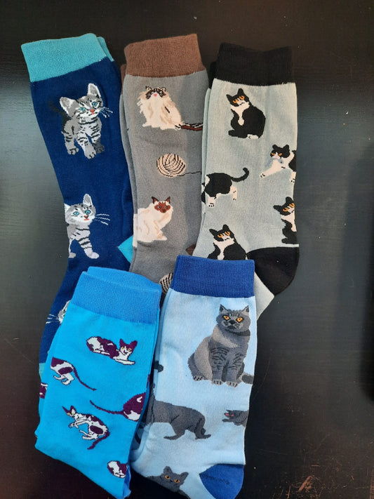 Cat Socks Collection